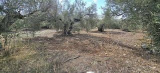 Οικόπεδο 1.026 τ.μ. προς πώληση, Πυργιώτικα-thumb-11