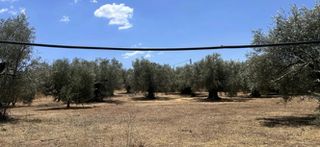 Οικόπεδο 1.026 τ.μ. για πώληση
