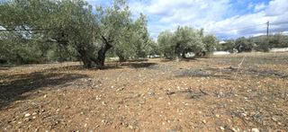 Οικόπεδο 1.026 τ.μ. προς πώληση, Πυργιώτικα-thumb-8