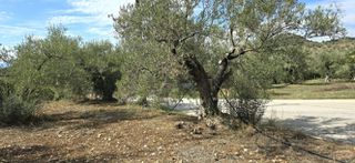 Οικόπεδο 1.026 τ.μ. προς πώληση, Πυργιώτικα-thumb-13