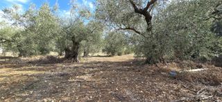Οικόπεδο 1.026 τ.μ. προς πώληση, Πυργιώτικα-thumb-7