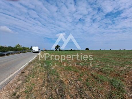 Αγροτεμάχια 5.240 τ.μ. προς πώληση
