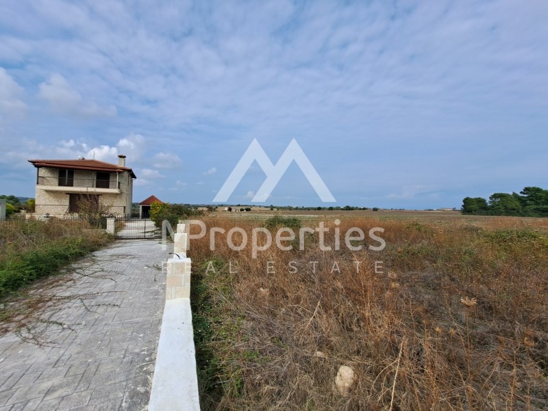 Αγροτεμάχια 12.110 τ.μ. προς πώληση, Κασσάνδρεια