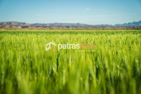 Land plot 132sqm for sale-Patra » T.E.I.