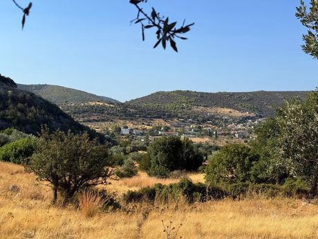 Αγροτεμάχια 4.005τ.μ. για πώληση-Κρανίδι » Βερβερούδα