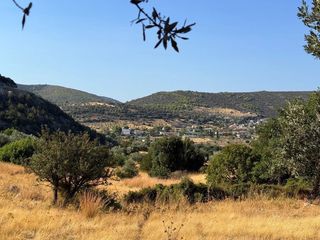 Αγροτεμάχια 4.005 τ.μ. για πώληση