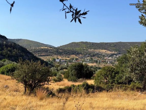 Αγροτεμάχια 4.005 τ.μ. για πώληση, Αργολίδα, Κρανίδι