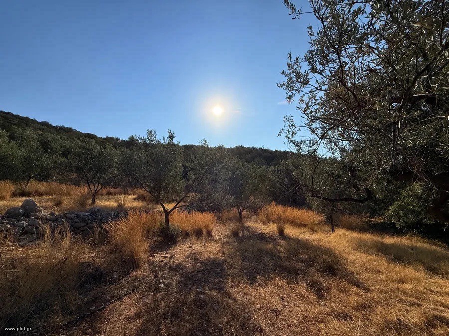 Αγροτεμάχια 4.005 τ.μ. προς πώληση, Αργολίδα, Κρανίδι