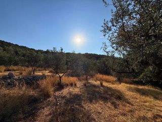 Αγροτεμάχια 4.005 τ.μ. για πώληση, Αργολίδα, Κρανίδι-thumb-1