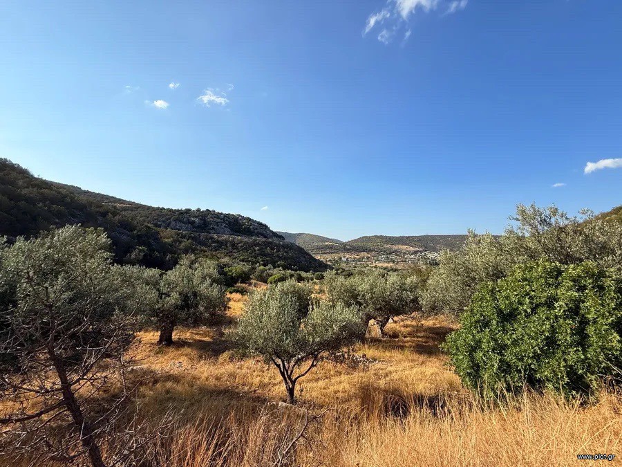 Αγροτεμάχια 4.005 τ.μ. προς πώληση, Αργολίδα, Κρανίδι