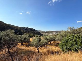 Αγροτεμάχια 4.005 τ.μ. για πώληση, Αργολίδα, Κρανίδι-thumb-2