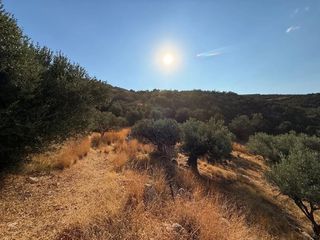 Αγροτεμάχια 4.005 τ.μ. για πώληση, Αργολίδα, Κρανίδι-thumb-3