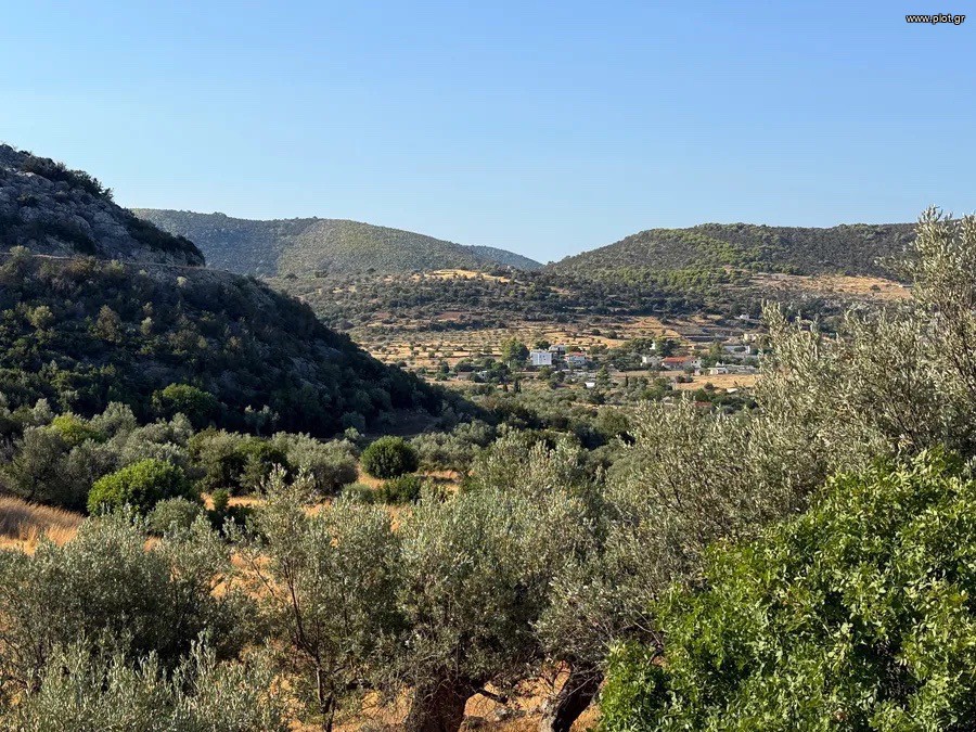 Αγροτεμάχια 4.005 τ.μ. προς πώληση, Αργολίδα, Κρανίδι