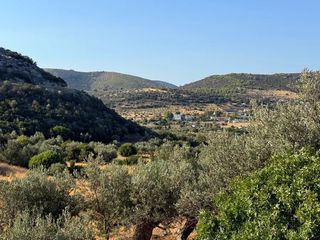 Αγροτεμάχια 4.005 τ.μ. για πώληση, Αργολίδα, Κρανίδι-thumb-4