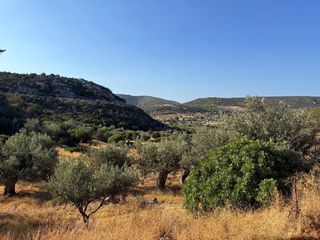Αγροτεμάχια 4.005 τ.μ. για πώληση, Αργολίδα, Κρανίδι-thumb-5