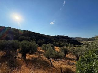 Αγροτεμάχια 4.005 τ.μ. για πώληση, Αργολίδα, Κρανίδι-thumb-6