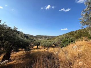 Αγροτεμάχια 4.005 τ.μ. για πώληση, Αργολίδα, Κρανίδι-thumb-7
