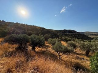 Αγροτεμάχια 4.005 τ.μ. για πώληση, Αργολίδα, Κρανίδι-thumb-8