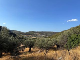 Αγροτεμάχια 4.005 τ.μ. για πώληση, Αργολίδα, Κρανίδι-thumb-9