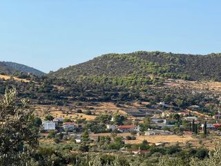 Αγροτεμάχια 4.005 τ.μ. για πώληση, Αργολίδα, Κρανίδι-thumb-10