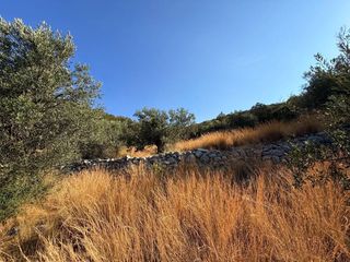 Αγροτεμάχια 4.005 τ.μ. για πώληση, Αργολίδα, Κρανίδι-thumb-11