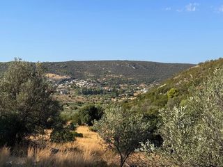 Αγροτεμάχια 4.005 τ.μ. για πώληση, Αργολίδα, Κρανίδι-thumb-14