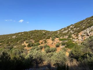 Αγροτεμάχια 4.005 τ.μ. για πώληση, Αργολίδα, Κρανίδι-thumb-17