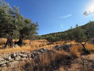 Αγροτεμάχια 4.005 τ.μ. για πώληση, Αργολίδα, Κρανίδι-thumb-18