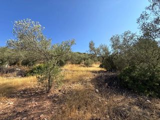 Αγροτεμάχια 6.500 τ.μ. για πώληση, Αργολίδα, Κρανίδι-thumb-8