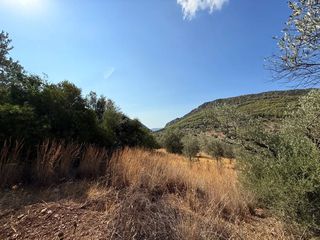 Αγροτεμάχια 6.500 τ.μ. για πώληση, Αργολίδα, Κρανίδι-thumb-10