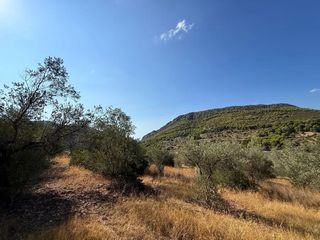 Αγροτεμάχια 6.500 τ.μ. για πώληση, Αργολίδα, Κρανίδι-thumb-15