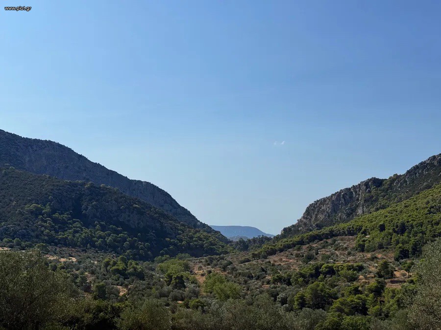 Αγροτεμάχια 6.500 τ.μ. για πώληση, Αργολίδα, Κρανίδι