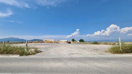 Οικόπεδο 10.000τ.μ. για πώληση-Σχηματάρι » Οινόη