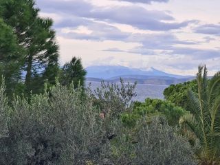 Οικόπεδο 2.350 τ.μ. για πώληση, Αργολίδα, Κρανίδι-thumb-1