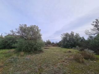 Οικόπεδο 2.350 τ.μ. για πώληση, Αργολίδα, Κρανίδι-thumb-5