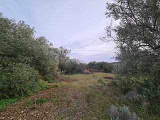 Οικόπεδο 2.350 τ.μ. για πώληση, Αργολίδα, Κρανίδι-thumb-9