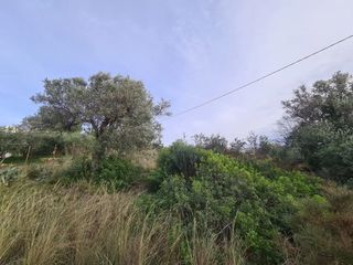 Οικόπεδο 2.350 τ.μ. για πώληση, Αργολίδα, Κρανίδι-thumb-11