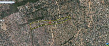 Αγροτεμάχια 3.576τ.μ. για πώληση-Πτελεός