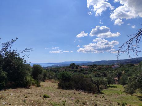 Οικόπεδο 5.543τ.μ. για πώληση-Πεταλίδι