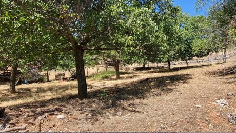 Οικόπεδο 650τ.μ. για πώληση-Φενεός