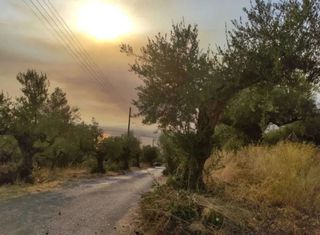 Οικόπεδο 641 τ.μ. για πώληση, Μεσσηνία, Καλαμάτα-thumb-1