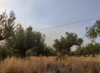 Οικόπεδο 641 τ.μ. για πώληση