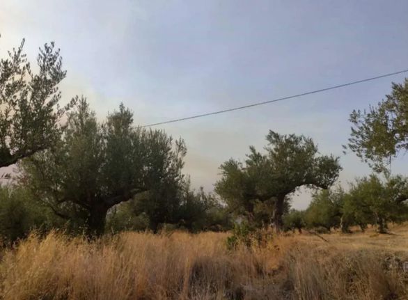 Οικόπεδο 641 τ.μ. για πώληση, Μεσσηνία, Καλαμάτα