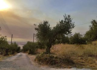 Οικόπεδο 641 τ.μ. για πώληση, Μεσσηνία, Καλαμάτα-thumb-2