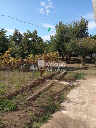 Μονοκατοικία 68 τ.μ. για πώληση, Ν. Ηλείας, Πύργος