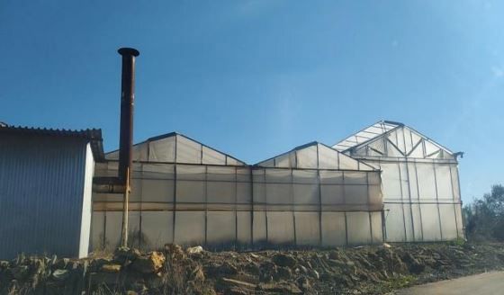 Επιχειρηματικό κτίριο 4.136 τ.μ. για πώληση, Μεσσηνία, Γαργαλιάνοι