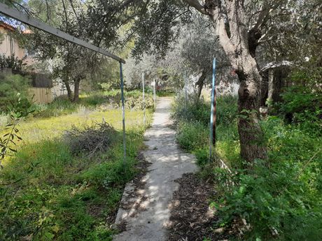 Οικόπεδο 558τ.μ. για πώληση-Σαλαμίνα