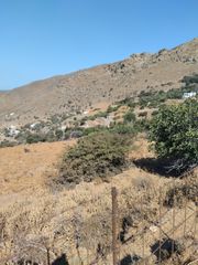 Οικόπεδο 4.708 τ.μ. για πώληση, Κυκλάδες, Άνδρος-thumb-5