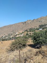Οικόπεδο 4.708 τ.μ. για πώληση, Κυκλάδες, Άνδρος-thumb-6