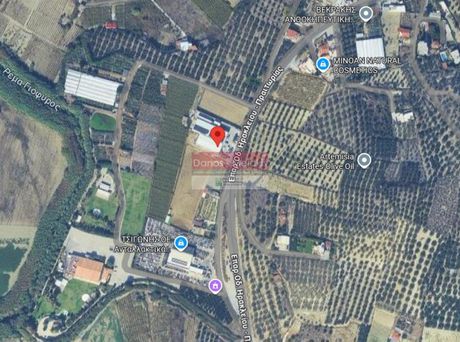 Business bulding 500sqm for sale-Temenos » Malades